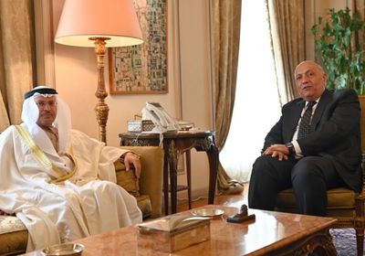 قرقاش يُغرد عن لقائه بوزير الخارجية المصرية