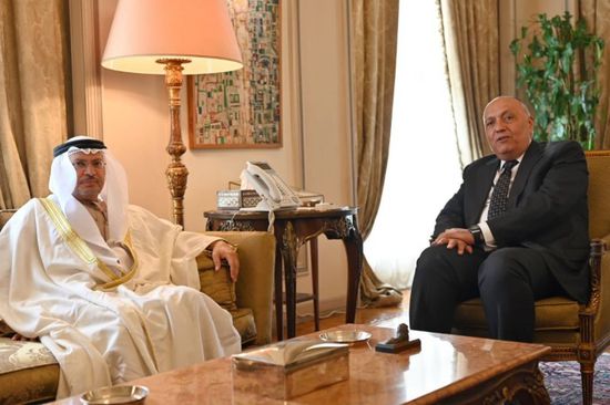 قرقاش يُغرد عن لقائه بوزير الخارجية المصرية