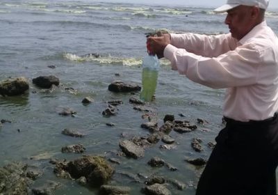 "علوم البحار": الطحالب استنزفت الأكسجين فنفقت أسماك أبين (صور)