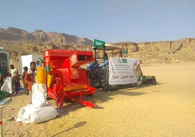 بدء حصاد القمح في وادي المسيلة (صور)