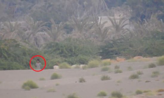 شاهد.. لحظة تصفية قناص حوثي شرق الجاح