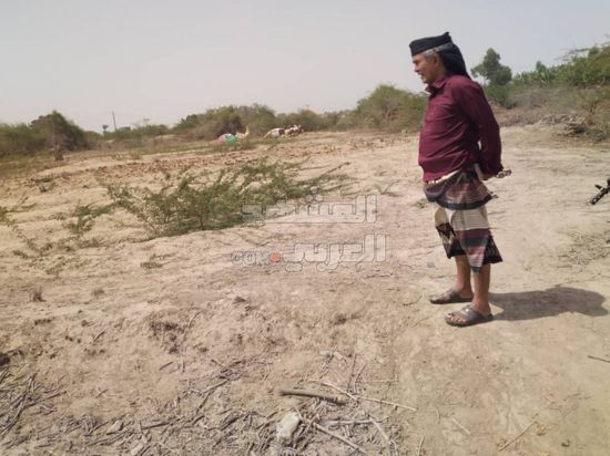 انتقالي أبين يقف على حجم أضرار مشاتل الفاكهة