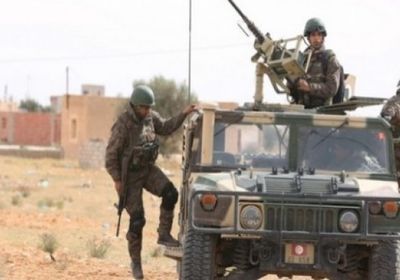 وزير الدفاع التونسي: يجب تطوير القدرات للقوات المسلحة