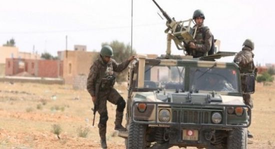 وزير الدفاع التونسي: يجب تطوير القدرات للقوات المسلحة