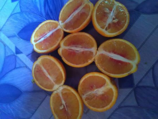 مادة حمراء بالبرتقال تثير فزع مواطن في لحج