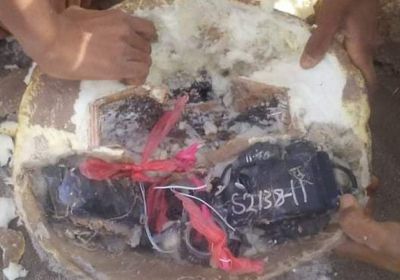 القوات المشتركة تحبط تفخيخ طريق التحيتا الدريهمي