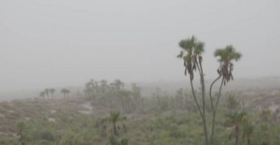 مدفعية الحوثي تقصف قرى الجبلية