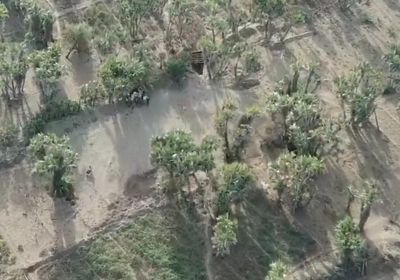 شاهد.. مليشيا الحوثي تحفر الأنفاق بمزارع المواطنين بالدريهمي