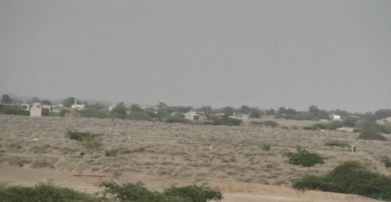 عناصر حوثية تهاجم الجاح