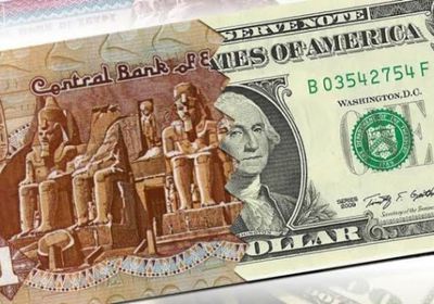 الدولار يستقر عند 15.69جنيه في مصر