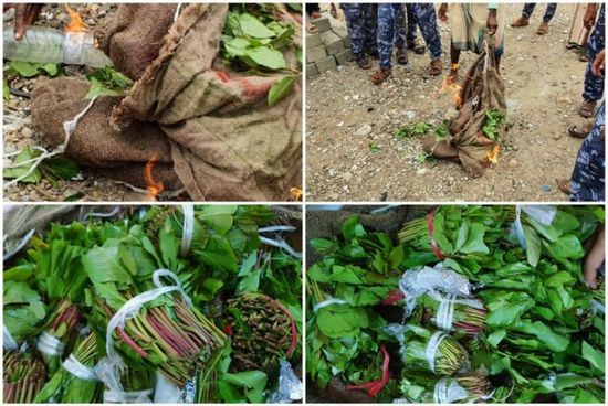 ضبط كميات من القات خلال تهريبها إلى الشحر