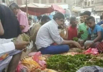 على خطى حضرموت.. المهرة تمنع تداول القات وبيعه