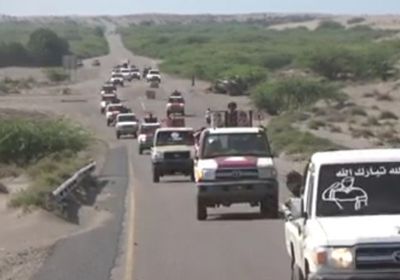 مداهمات لأسواق السلاح في الخوخة والدريهمي (فيديو)