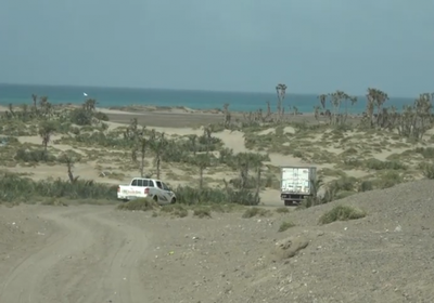 فريق طبي إماراتي يعالج مرضى الغويرق بالتحيتا