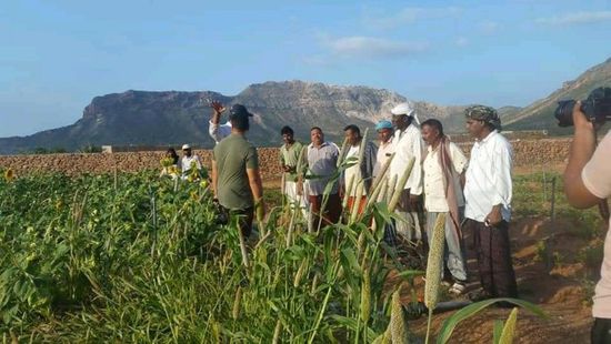 "خليفة الإنسانية" تعزز الأمن الغذائي في سقطرى (صور)
