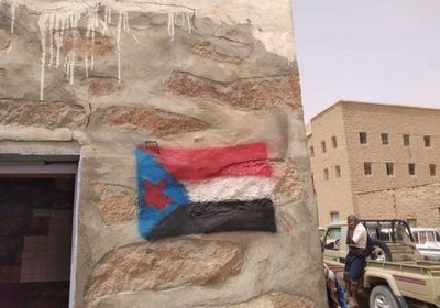 مبادرة لتوزيع أعلام الجنوب في المصينعة (صور)