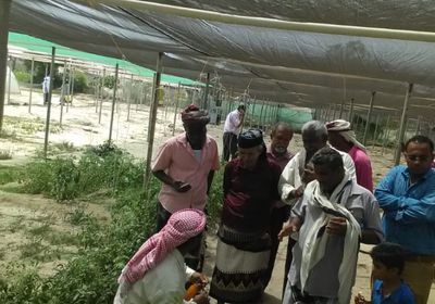 "انتقالي أبين" يتدخل لحسم أزمة البسط على مشتل الكود  