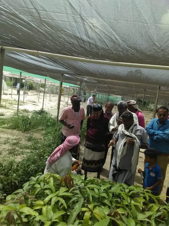 "انتقالي أبين" يتدخل لحسم أزمة البسط على مشتل الكود  