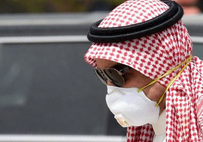سياسي سعودي: الدول العربية أثبتت أنها قادرة على التعامل مع الأزمات