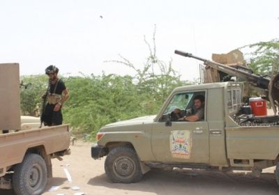 المشتركة ترد.. قصف هستيري من مليشيا الحوثي لمنازل التحيتا