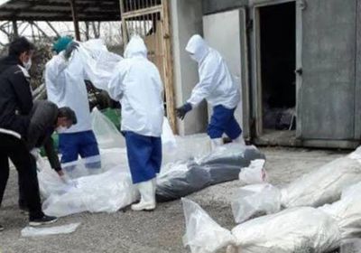 نيويورك تقرر دفن ضحايا كورونا بالحدائق العامة