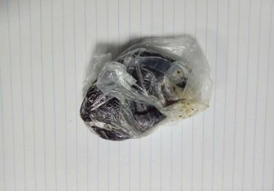 إحباط تهريب مواد مُخدرة إلى سقطرى عبر ميناء المكلا