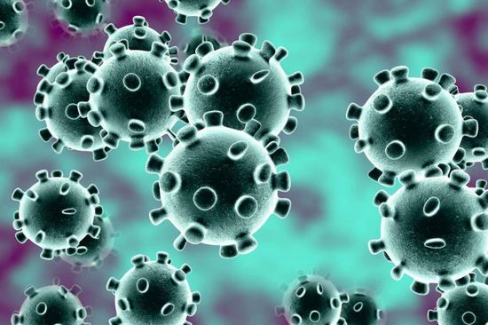 الشمري: فيروس كورونا أكبر من الحرب العالمية الثالثة