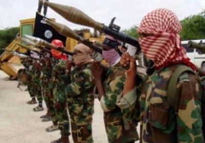  مقتل 11 مسلحًا من حركة الشباب الإرهابية في غارتين أمريكيتين بالصومال
