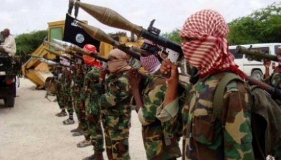  مقتل 11 مسلحًا من حركة الشباب الإرهابية في غارتين أمريكيتين بالصومال