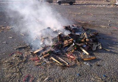 في مداهمات.. إتلاف شحنات قات بالدار البيضاء (صور)