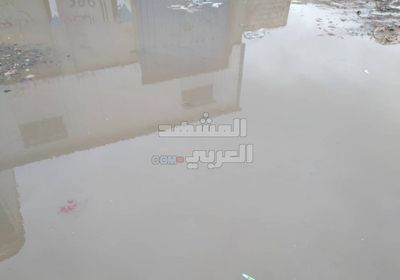 جعار تغرق في مياه الصرف (صور)