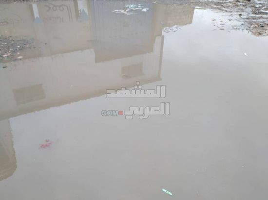 جعار تغرق في مياه الصرف (صور)