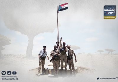 لواء جديد يرفع راية الجنوب.. جيش باسل ووطن صامد