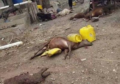 قذيفة إخوانية تقتل سيدتين وطفلة في تعز  