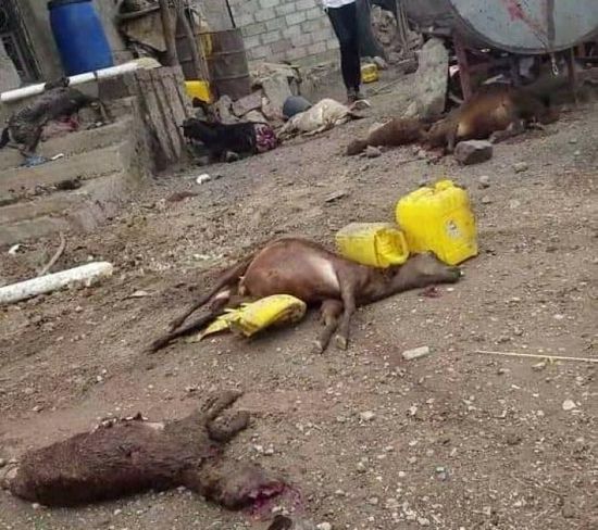 قذيفة إخوانية تقتل سيدتين وطفلة في تعز  