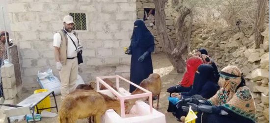 "البرنامج الإنمائي": خدمات لـ 208 آلاف وتشغيل 6800