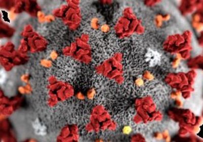  المغرب: 3377 إجمالي الإصابات بفيروس كورونا حتى الآن