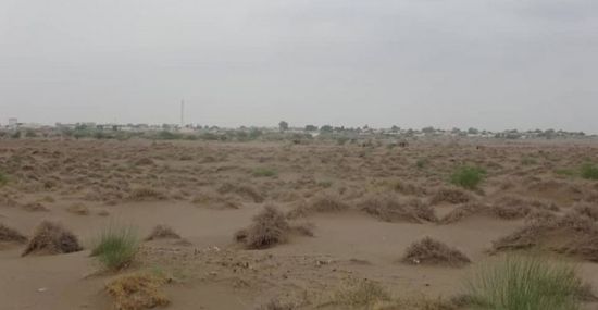 القوات المشتركة تصد هجوما حوثيا انتحاريا في التحيتا