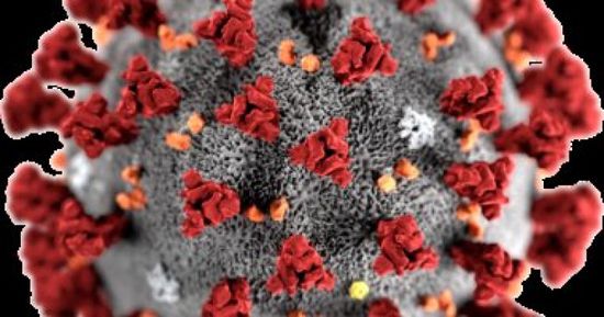 خلية الأزمة الأمريكية: ارتفاع الحرارة يؤثر على دورة حياة كورونا