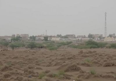 بالهاون والآر بي جي.. مليشيا الحوثي تهاجم جنوب التحيتا