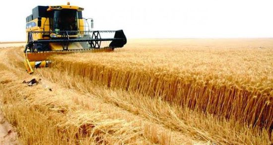  السعودية تمنح المستثمرين فرصة تأمين 10% من احتياجات القمح