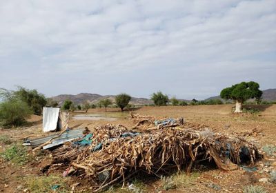 النرويجي للاجئين: 900 أسرة نازحة فقدت مساكنها بعبس