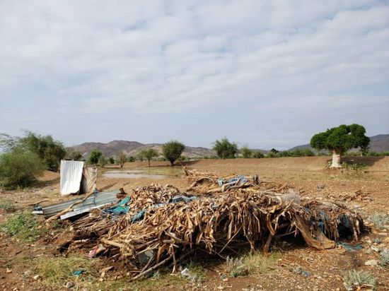 النرويجي للاجئين: 900 أسرة نازحة فقدت مساكنها بعبس