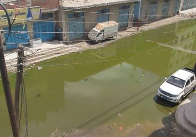 تخوفات من انتشار حمى الضنك بالمنصورة