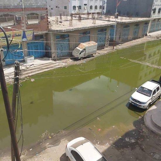 تخوفات من انتشار حمى الضنك بالمنصورة