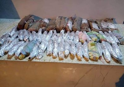 إحباط محاولة تهريب قات إلى حضرموت (صور) 