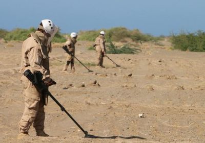 "ألغام البيضاء".. إرهاب الحوثي الذي تحاربه السعودية