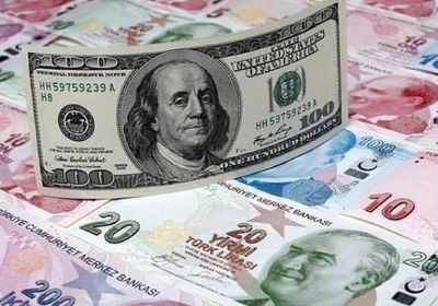  الليرة التركية تسجل انهيارا جديدا أمام الدولار