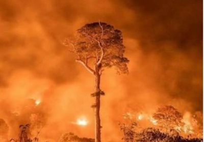  الحكومة البرازيلية تفصل اثنين من كبار مسؤولي معهد البيئة من العمل