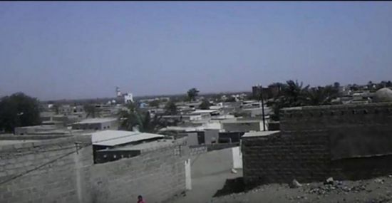 مدفعية الحوثي تضرب الدريهمي بالهاون